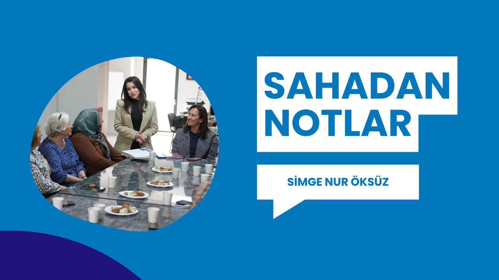 SAHADAN NOTLAR - Sare Delil – Nazan Özdemir